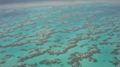 Government Unveils 2050 Great Barrier Reef Plan